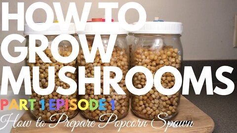 How To Prepare Popcorn Spawn Jars | How To Grow Mushrooms | Part 1