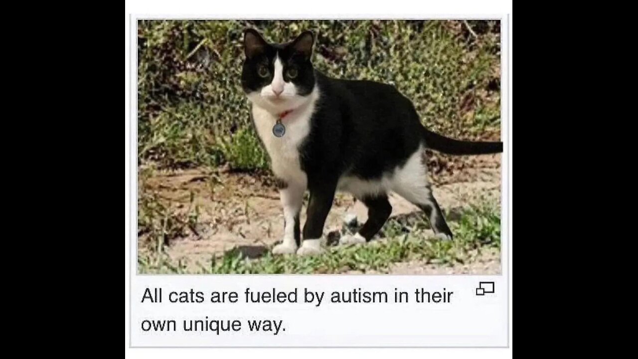 Chaotic Memes 2