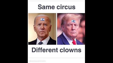 The 🎪 Circus!‼️….