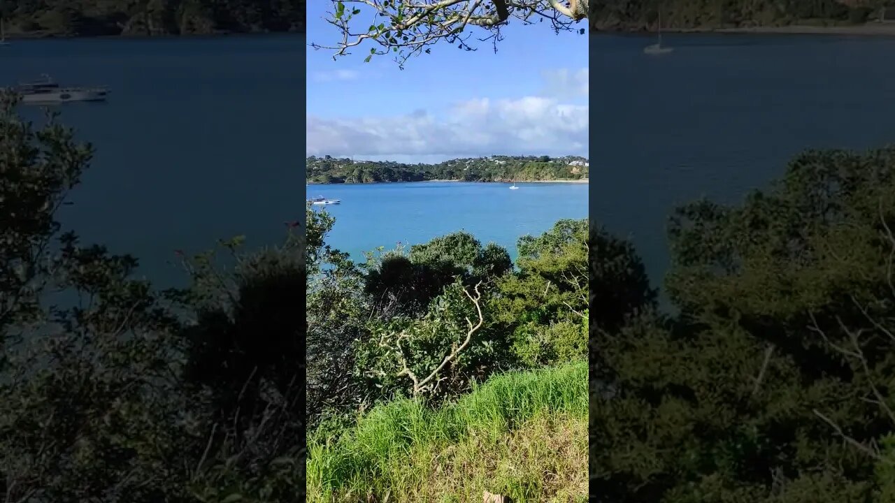 Oneroa overlooking Little Oneroa Beach