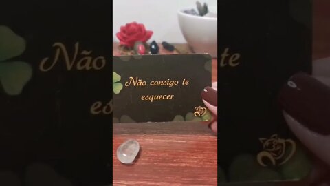 26/10 O que ele ou ela falaria se tivesse coragem