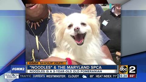 Good morning from the Maryland SPCA!