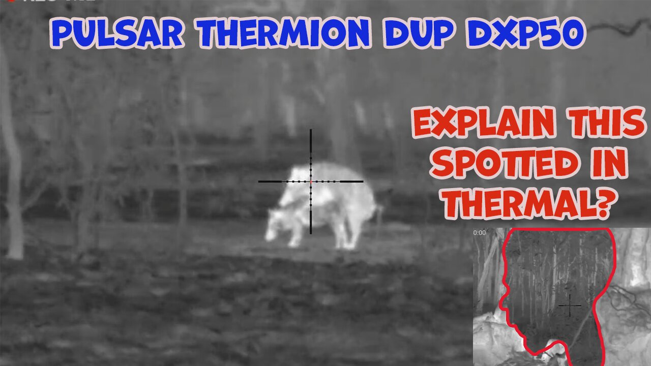 FATHERS DAY HUNT - Can you explain this spotted in the Pulsar Thermion Duo DXP50?