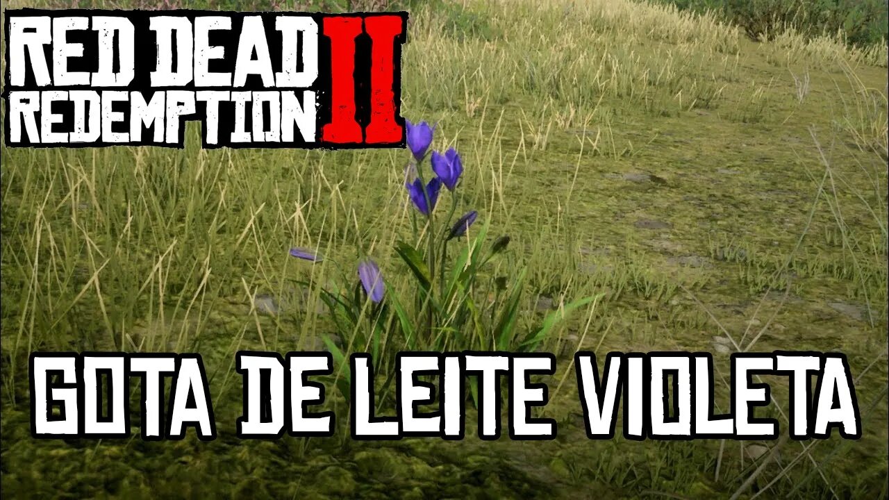 Localização Gota de Leite Violeta Red Dead 2