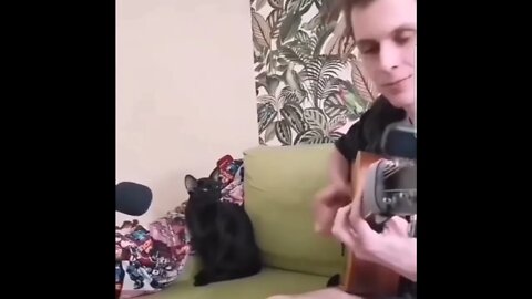 “Whisker Biscuit Blues”