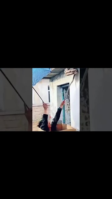 viral video 2023 | trending video | viral shorts | today viral video