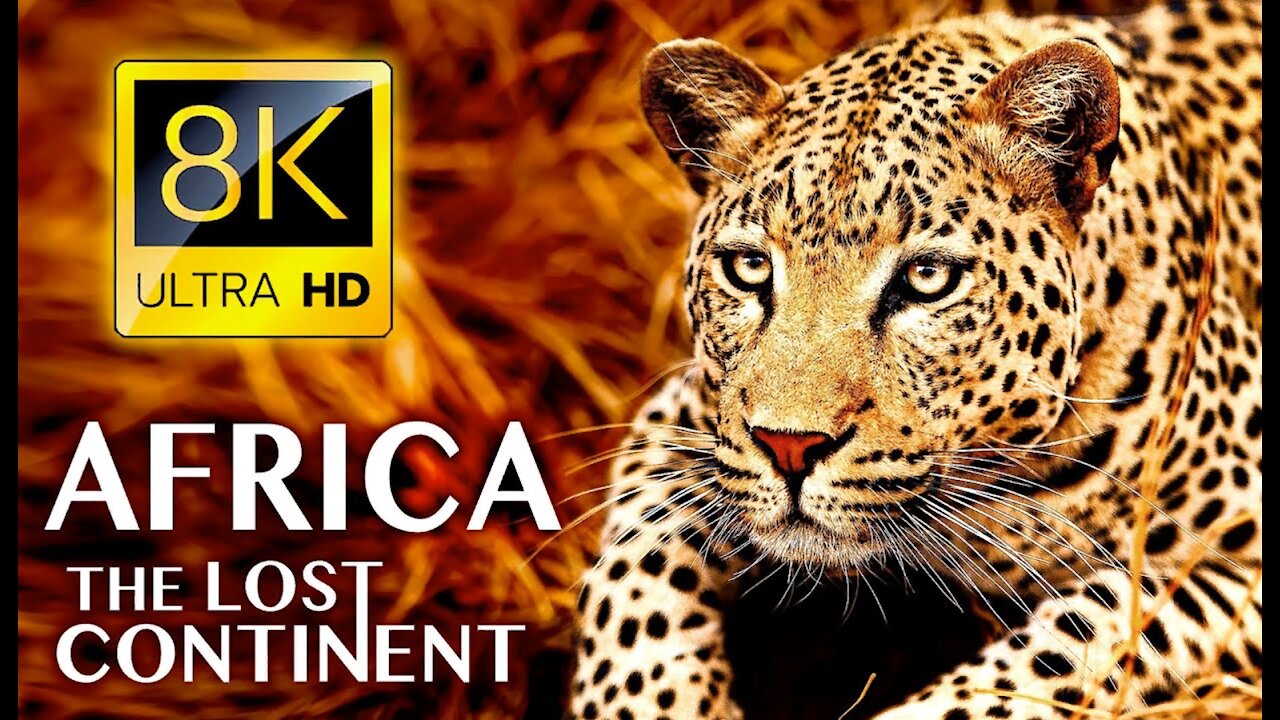 AFRICA The Lost Continent in 8K ULTRA HD