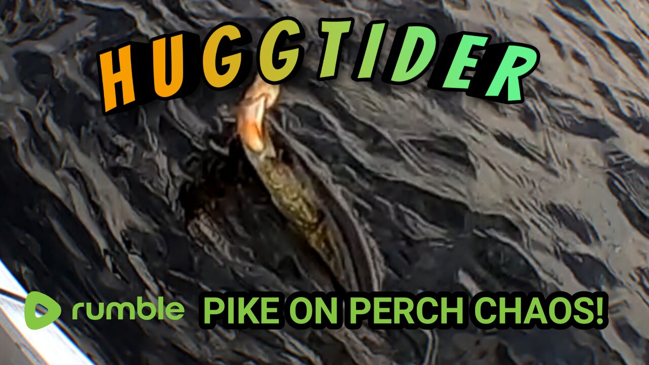 Pike on perch chaos! W/ English subtitles