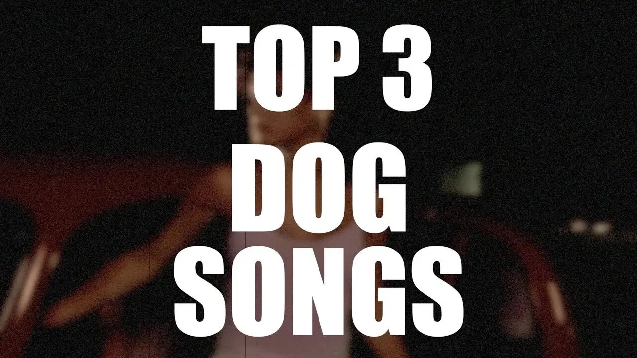 TOP 3 DOG SONGS!