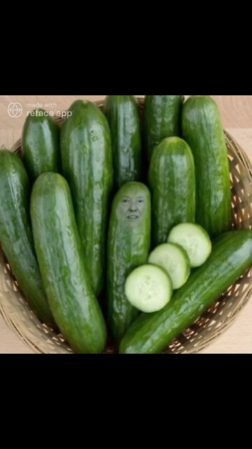The Ultimate Donald Trump Cucumber Meme! 🥒