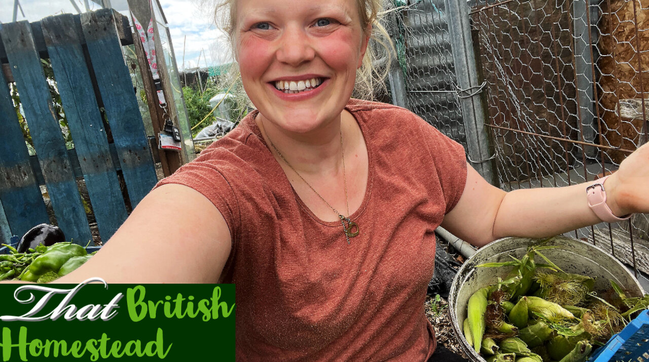 Allotment Harvest With Me! Late August Harvest!