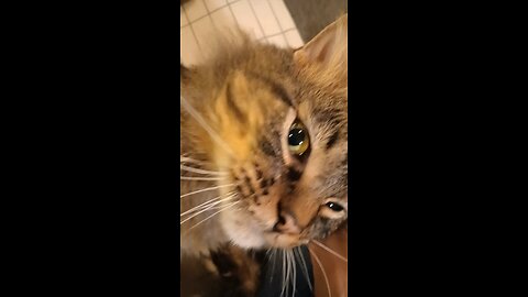 he knows when mom's sad