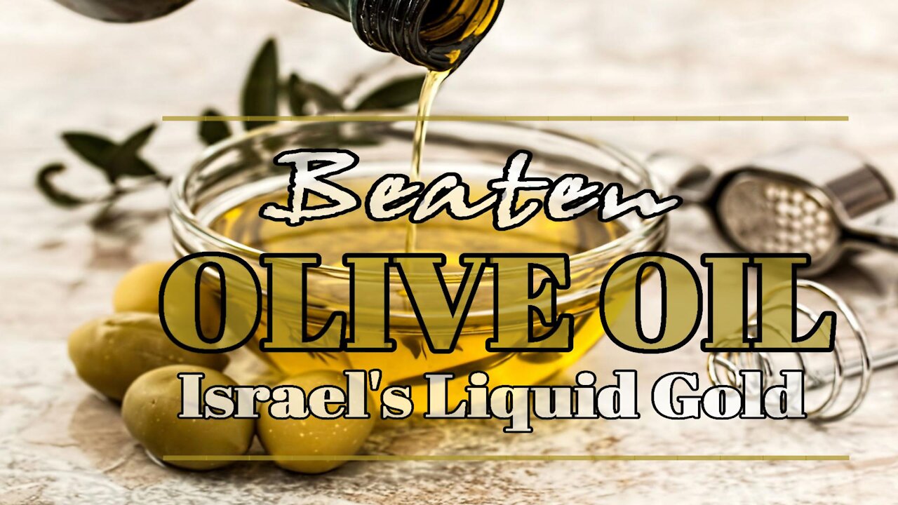 Anointing Olive Oil - Israel's Liquid Gold