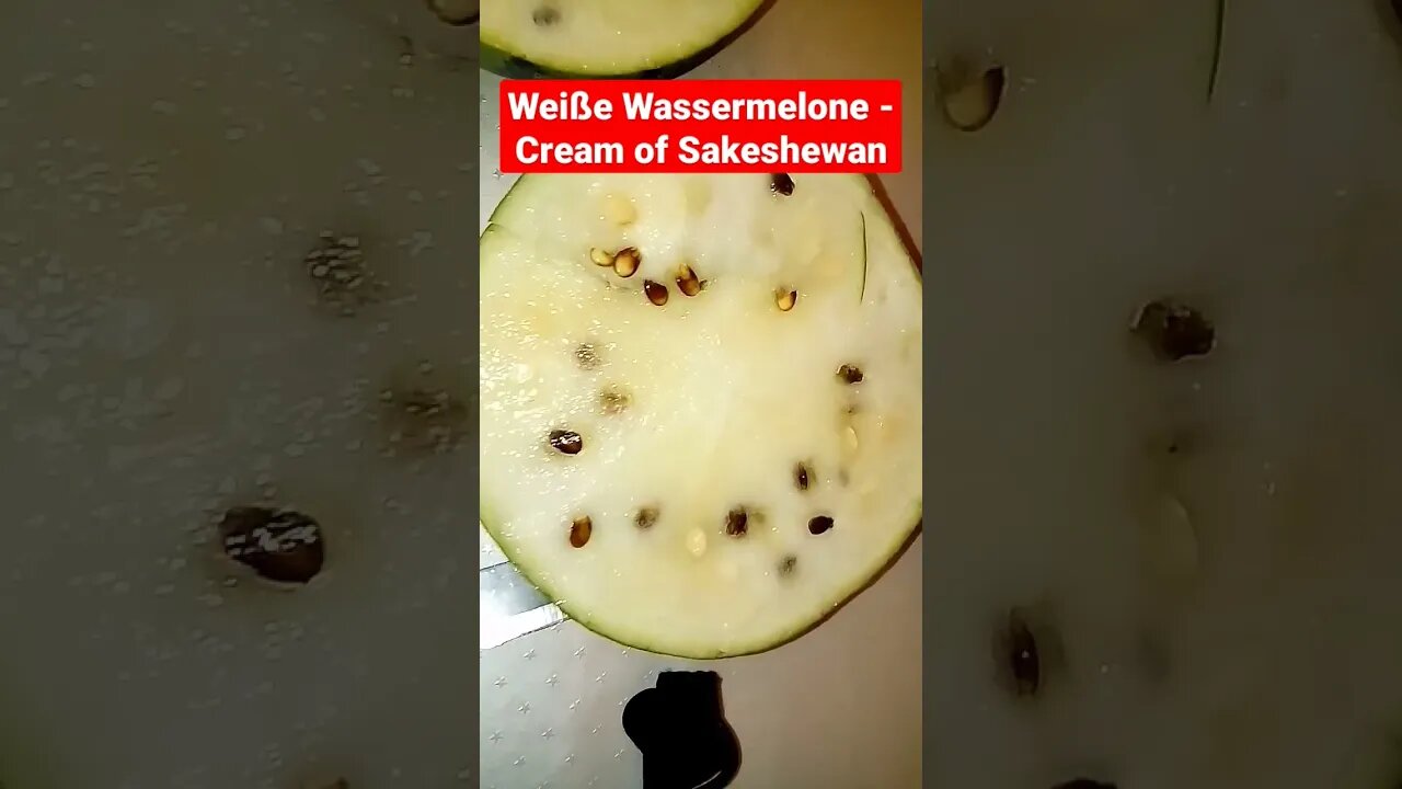 Weiße Wassermelone #shorts