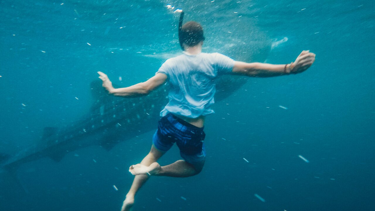 YOUNG MAN WHO HAD AN ENCOUNTER WITH THE SHARK