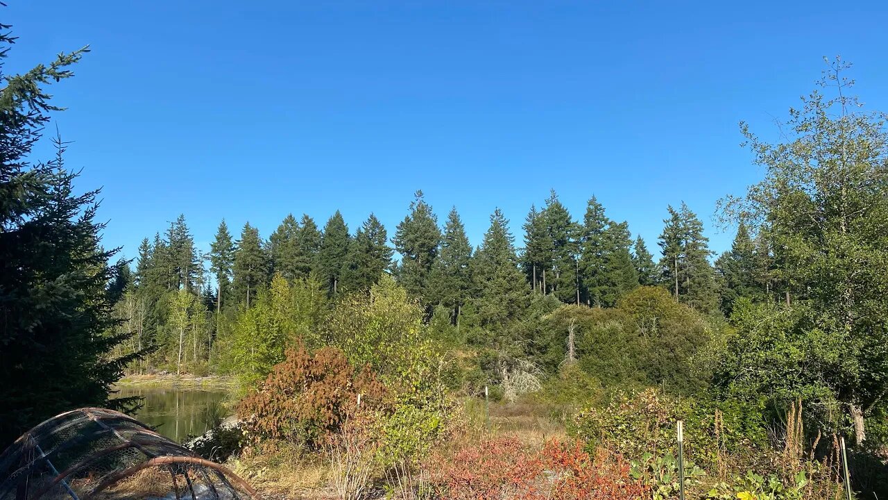 WTF? That Sounded Like Guns? 😲