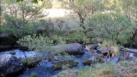 evening riverside vlog Dartmoor 26th May 2023