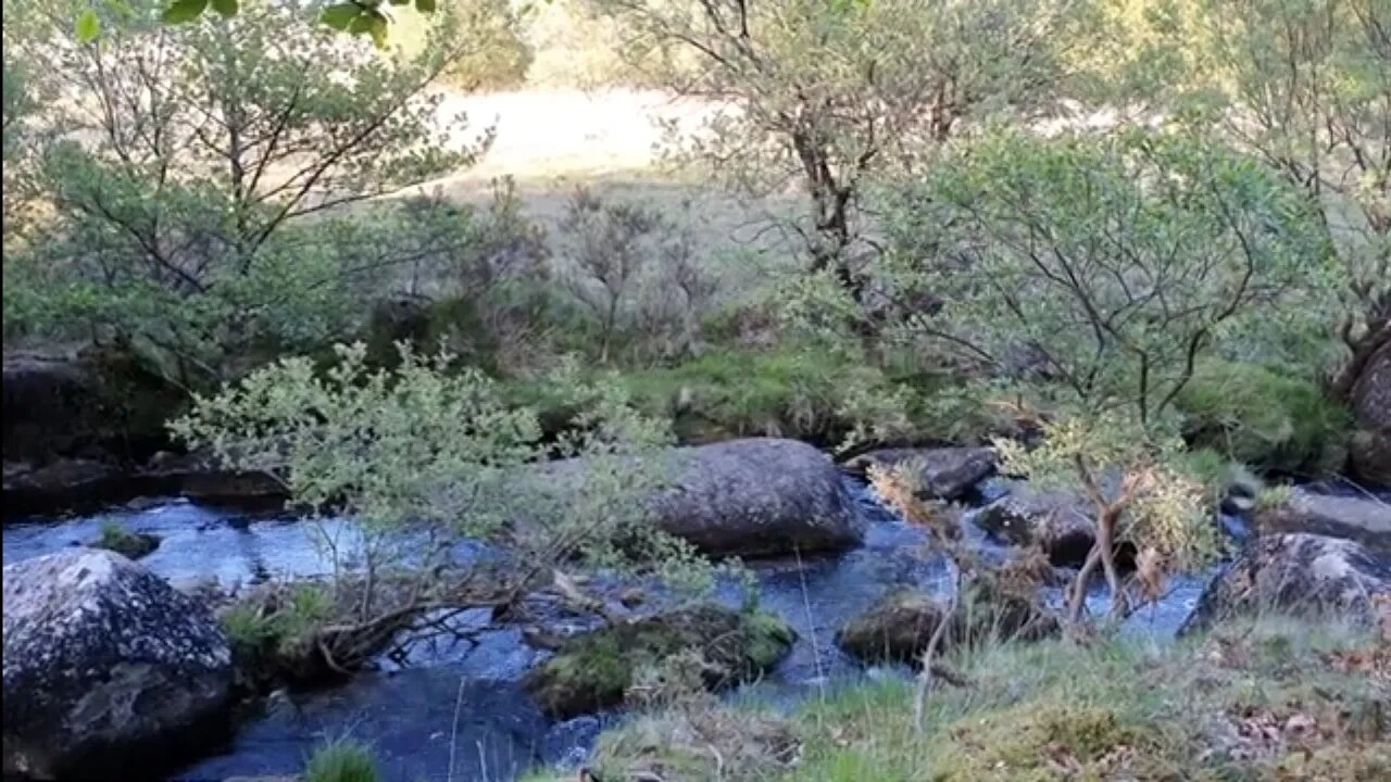 evening riverside vlog Dartmoor 26th May 2023