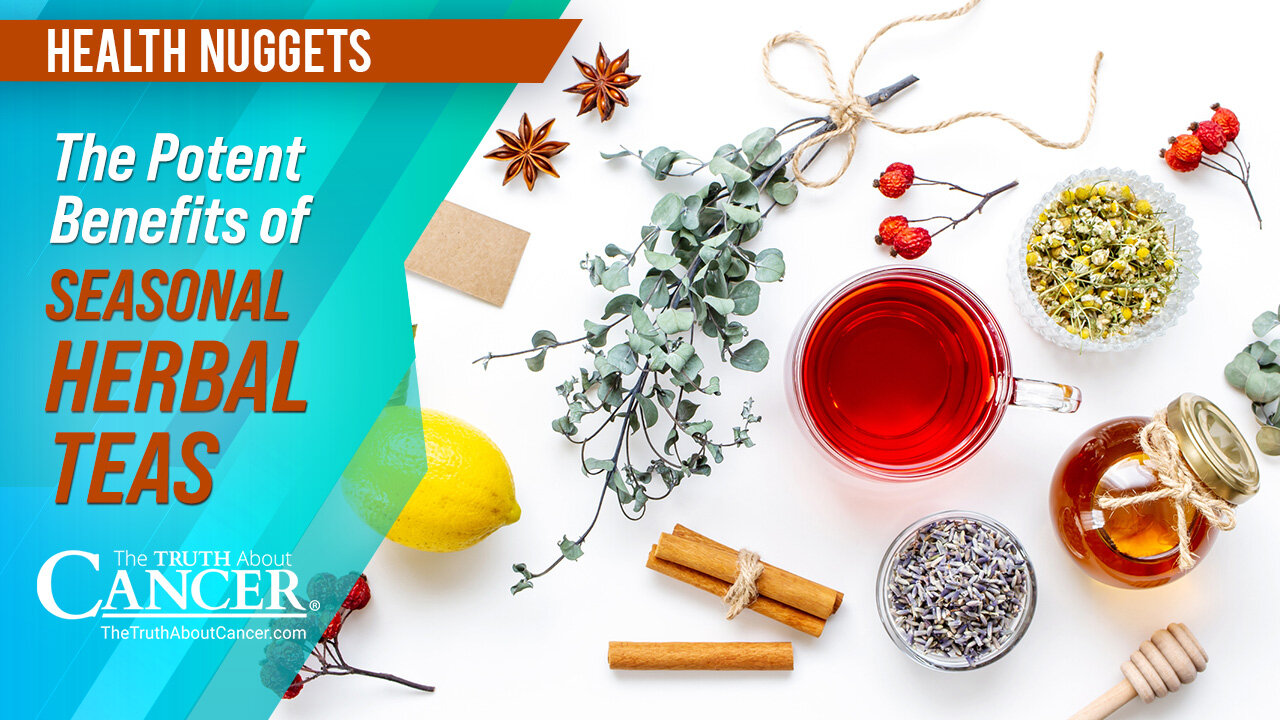 The Truth About Cancer: Health Nugget 59 - The Potent Benefits of Seasonal Herbal Teas