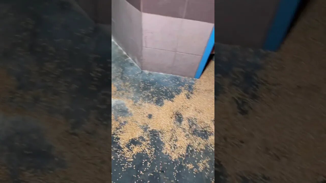 Did Steve take the popcorn?