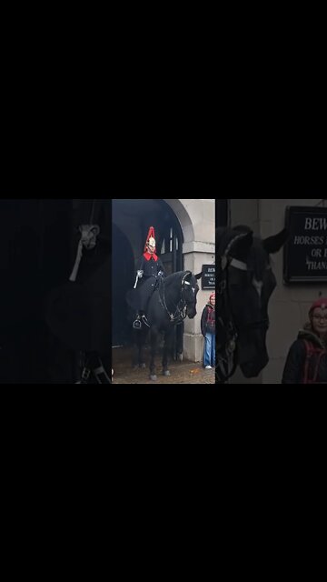 Telling the kid you get back #horseguardsparade