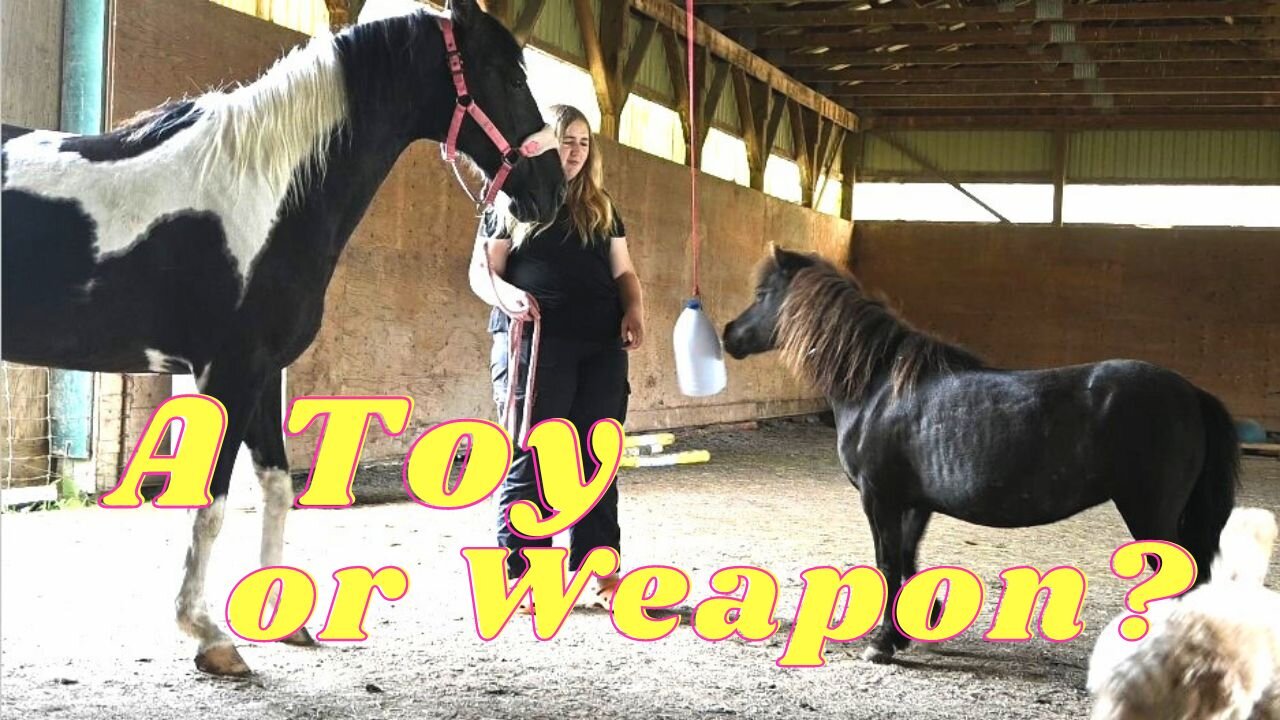 A New Toy Becomes A Weapon!