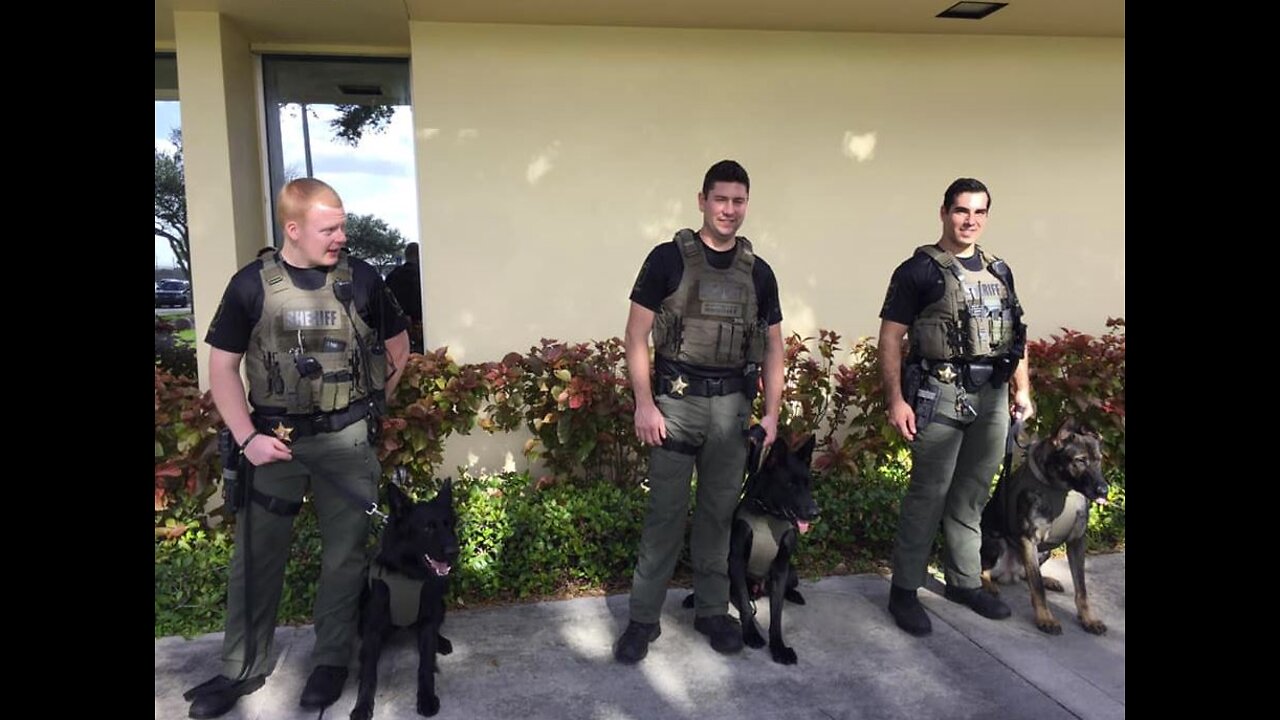 K-9 officers given custom-fit Kevlar vests