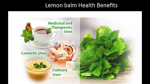 Lemon Balm Benefits