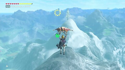 Breath of the Wild Master Mode 55