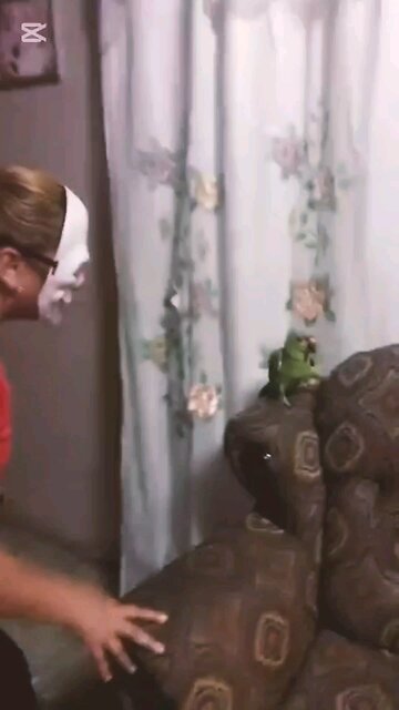 funny pet moment #funny #pet #animal