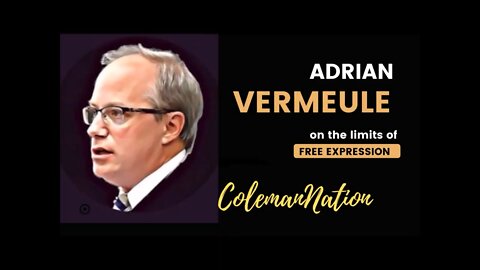 Excerpt: Adrian Vermeule