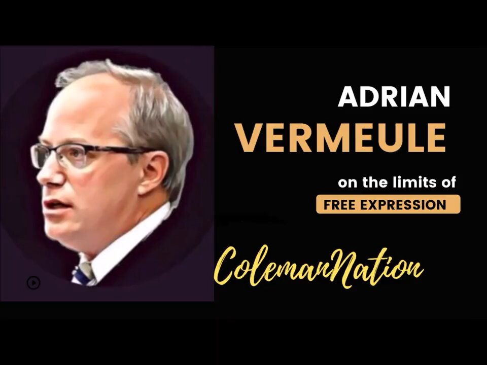 Excerpt: Adrian Vermeule