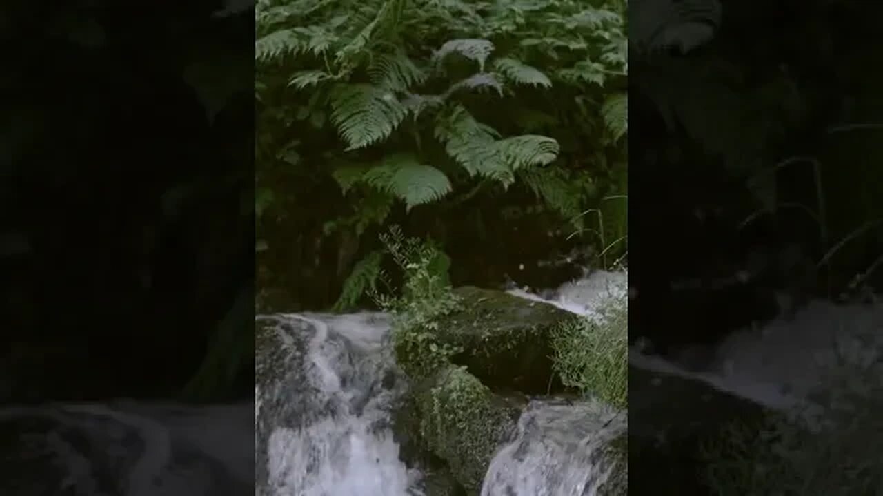 Double Tap this video if you like this Nature Content! #shorts #fishing #outdoors #nature