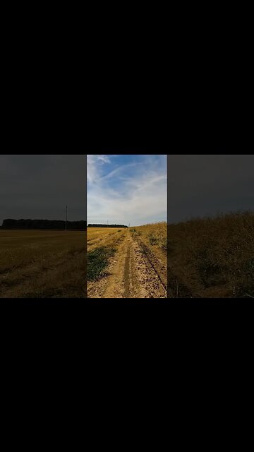 Comana - Prundu - Vlad Tepes XC ride | Soft house music | #shorts