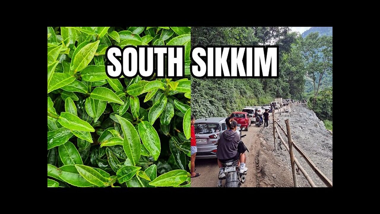 South Sikkim: Singtam & Temi | Political Rally | Landslides | Tea Plantations