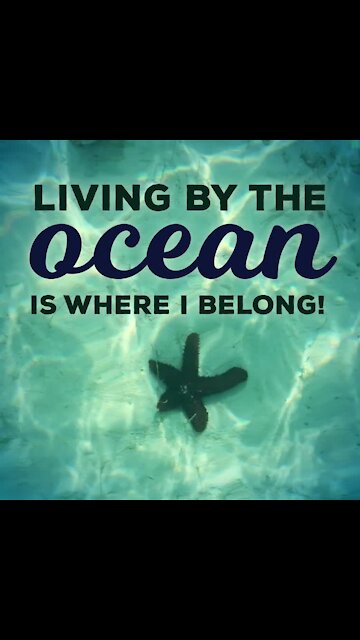 Living by the ocean [GMG Originals]