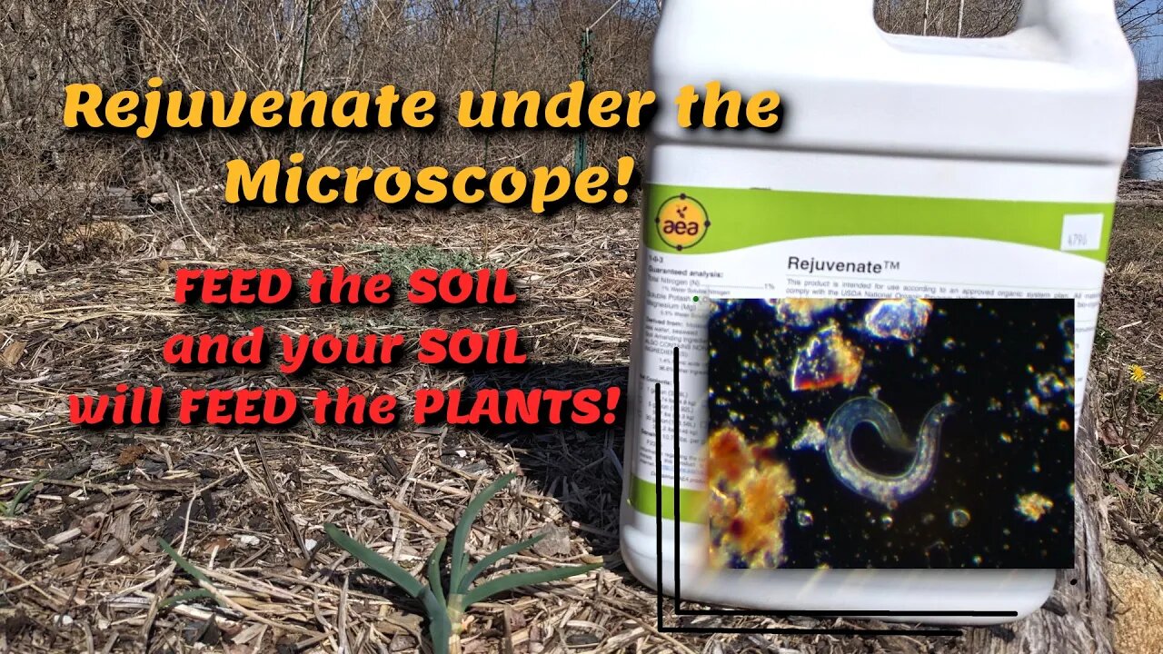 Rejuvenate from AEA under the Microscope! Most requested product to scope!