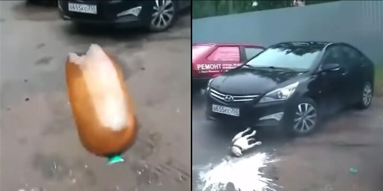 Dog by throwing a chemical bottleš