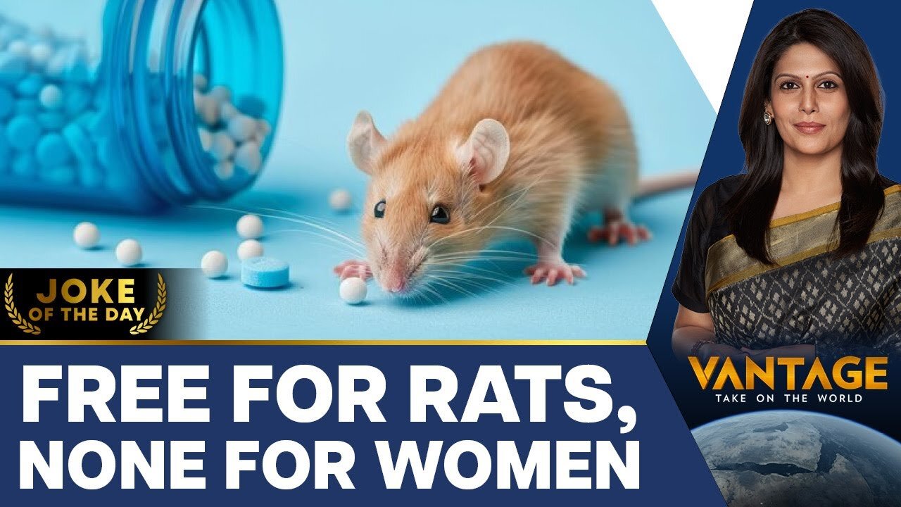 New York to use Birth Control to Reduce Rat Population | Vantage with Palki Sharma