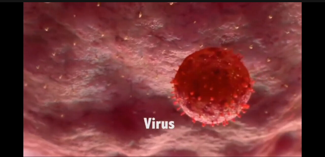 Exosomes vs. Viruses: A Radical Reconsideration of the Pandemic Paradigm