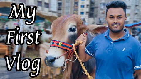 My first vlog @talhakavlog #@Talha-ka-vlog #cows #subscribe