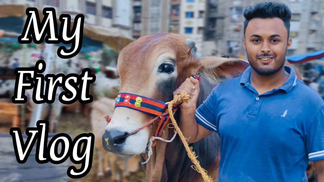 My first vlog @talhakavlog #@Talha-ka-vlog #cows #subscribe