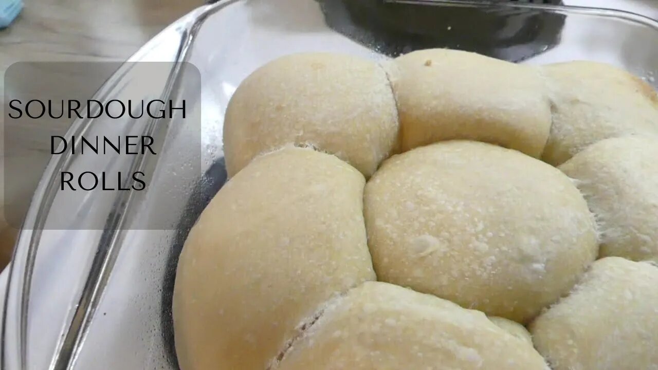 SOURDOUGH DINNER ROLLS || Thanksgiving Series