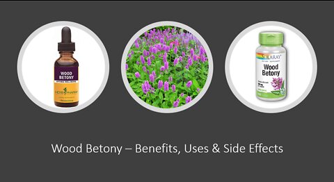 Wood Betony - Herbal Medicine - Benefits, Uses & Side Effects