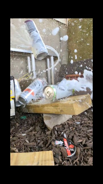 22 caliber pellet gun vs seltzer