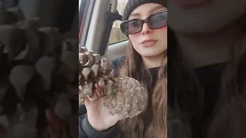 tiktoker comes with hubby 😍 #shorts