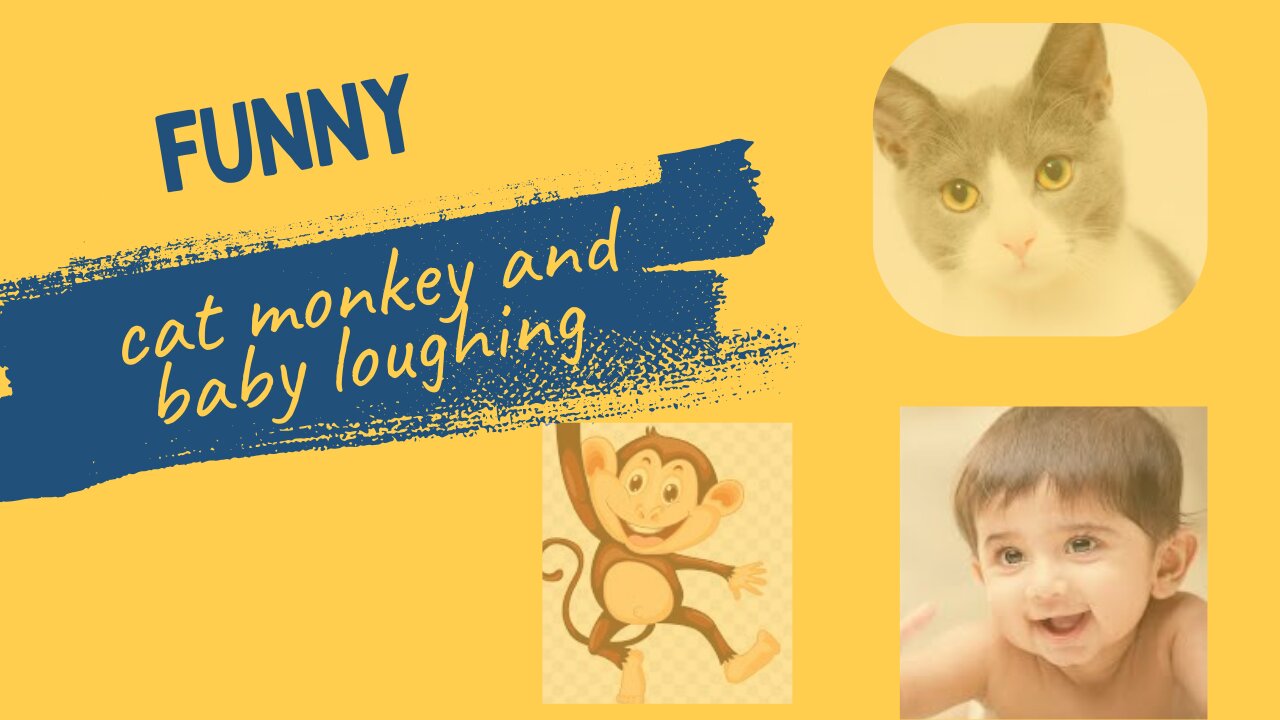 Funny cat 🐈 monkey 🐵 and baby laughing video