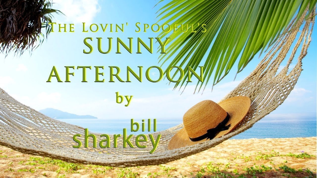 Sunny Afternoon - Kinks, The (cover-live by Bill Sharkey)