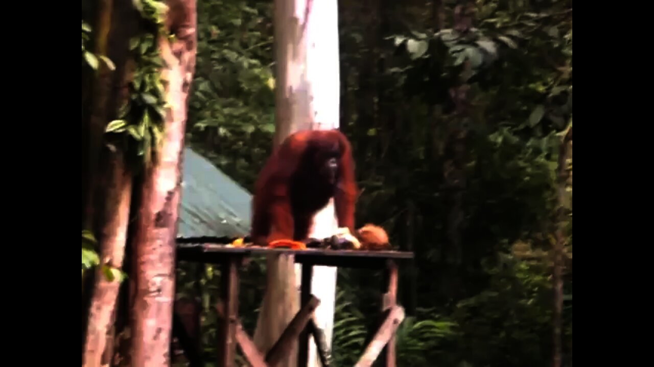 Singapore and Malaysia