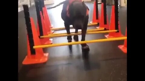 Ok, well done!